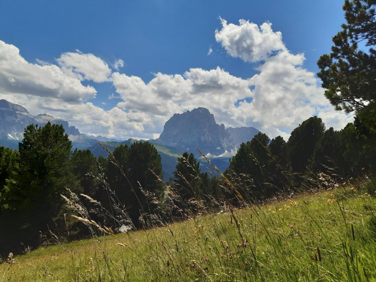Garni Franca B&B Selva di Val Gardena Exterior foto