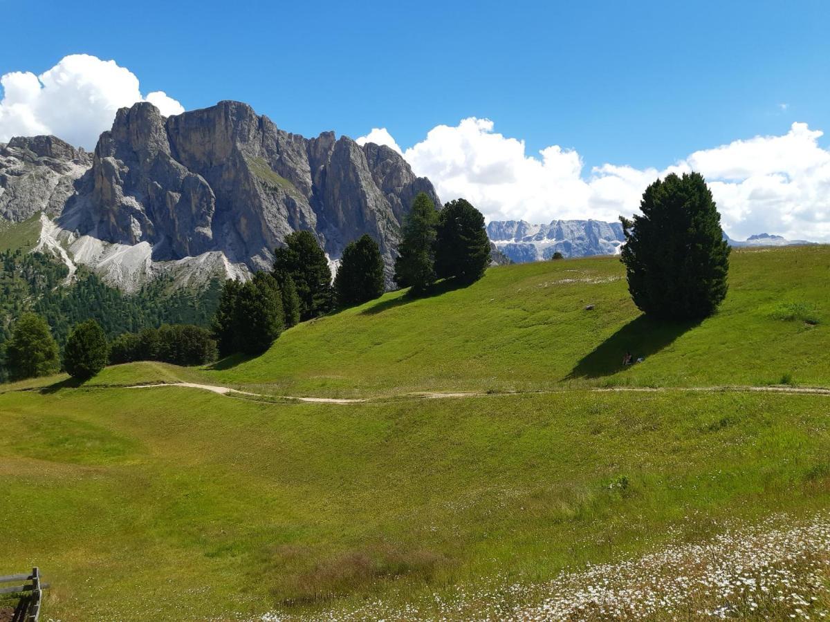 Garni Franca B&B Selva di Val Gardena Exterior foto