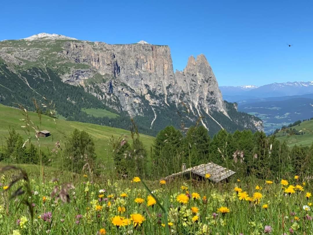 Garni Franca B&B Selva di Val Gardena Exterior foto