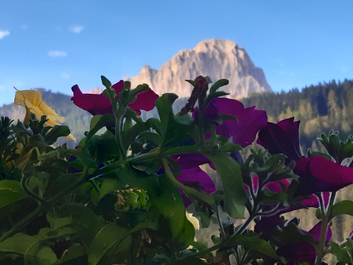 Garni Franca B&B Selva di Val Gardena Exterior foto