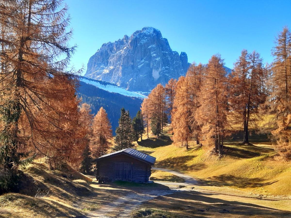 Garni Franca B&B Selva di Val Gardena Exterior foto