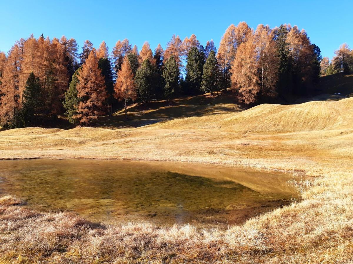 Garni Franca B&B Selva di Val Gardena Exterior foto