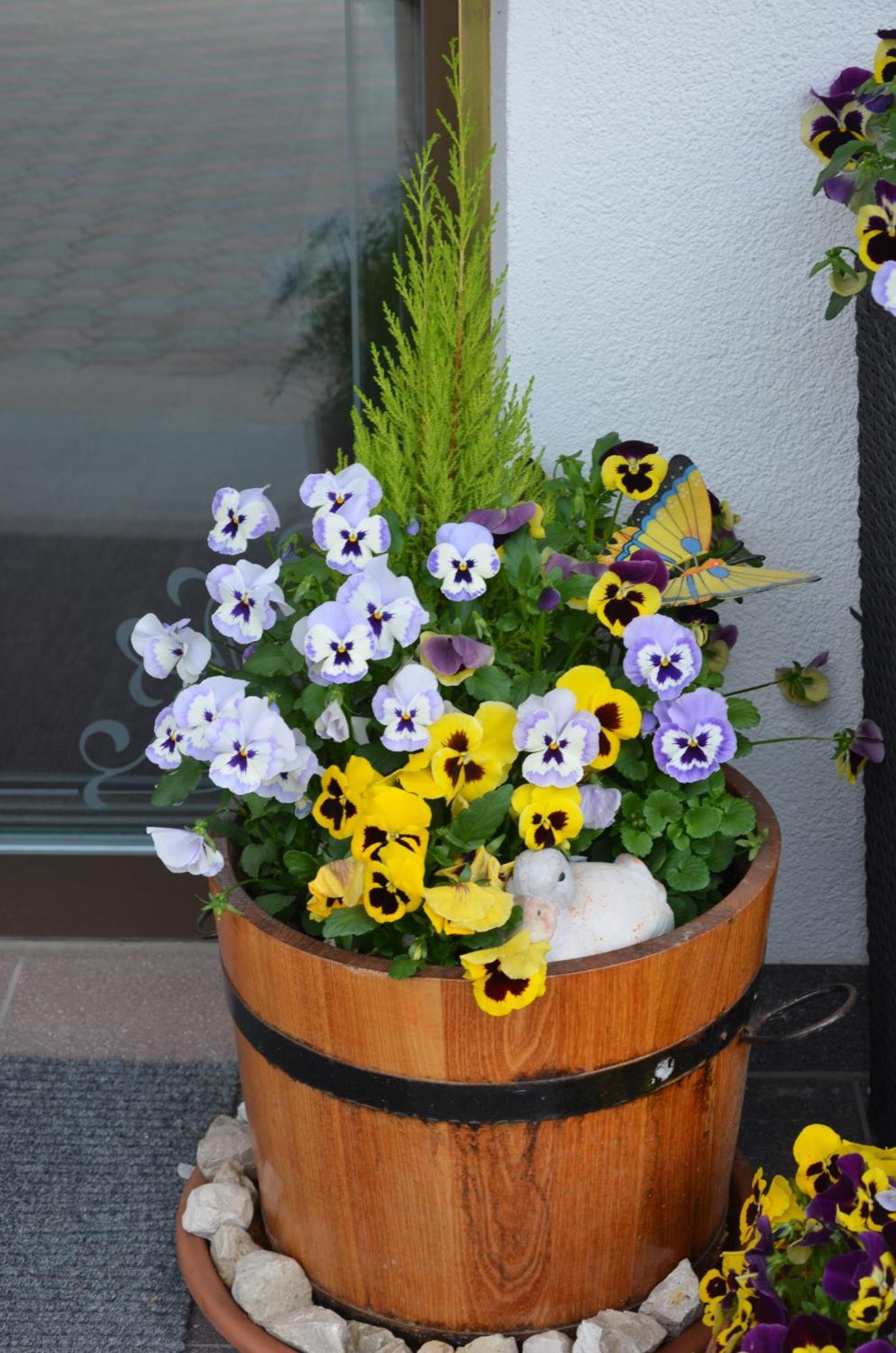 Garni Franca B&B Selva di Val Gardena Exterior foto